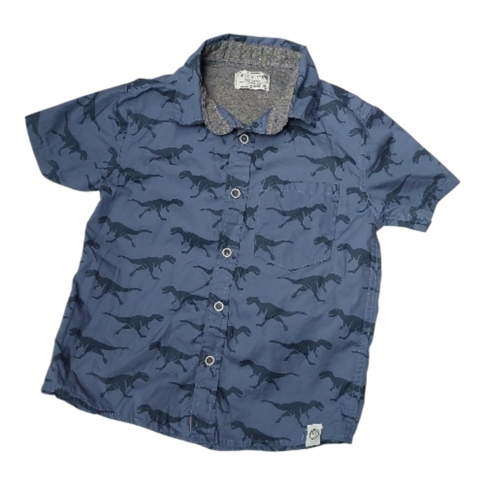 Free Planet Navy Dinosaur Print Kids Button Down Shirt
